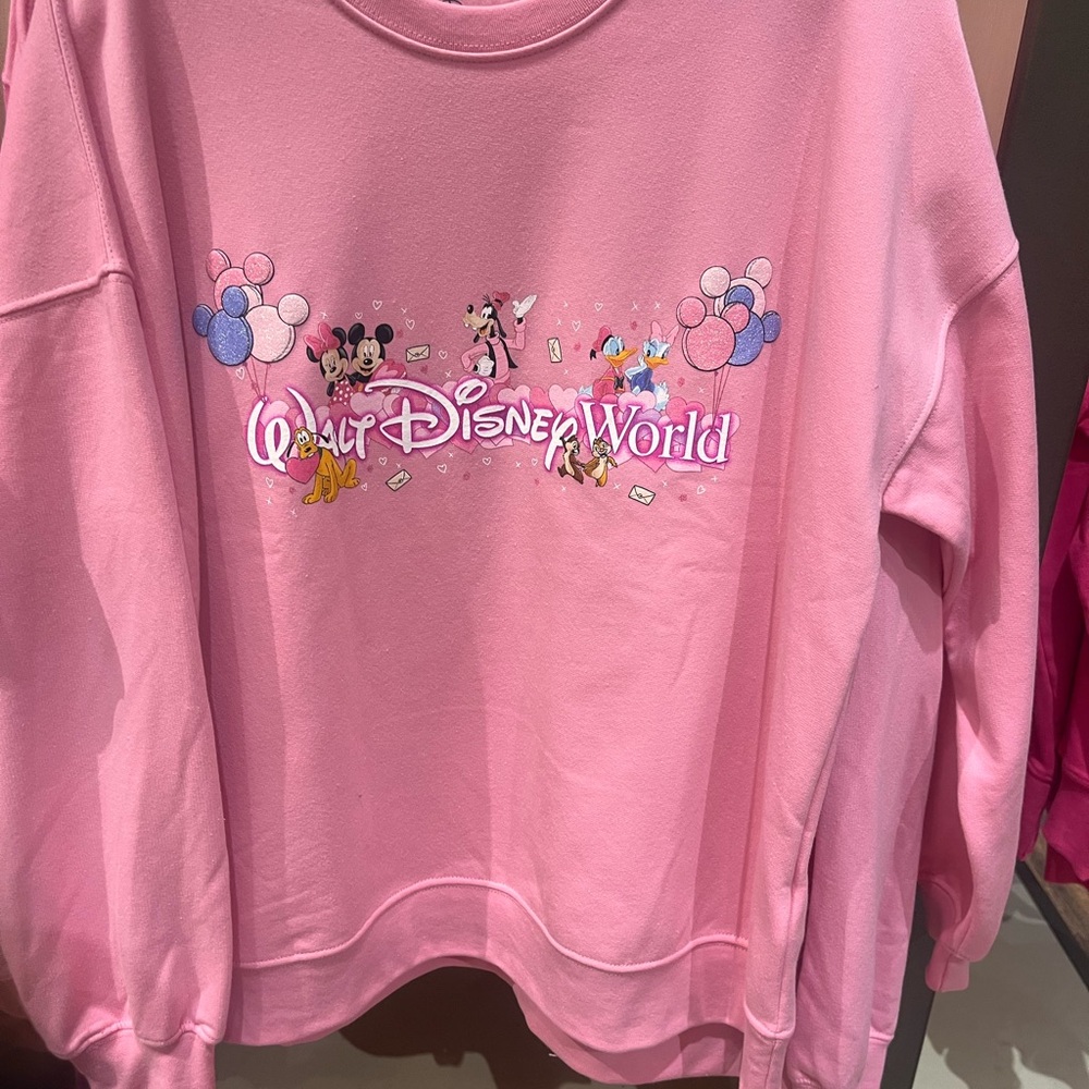 Disney 2026 Walt DisneyWorld   Pink Sweatshirt NWT